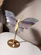 Fluorit Schmetterling auf Ständer