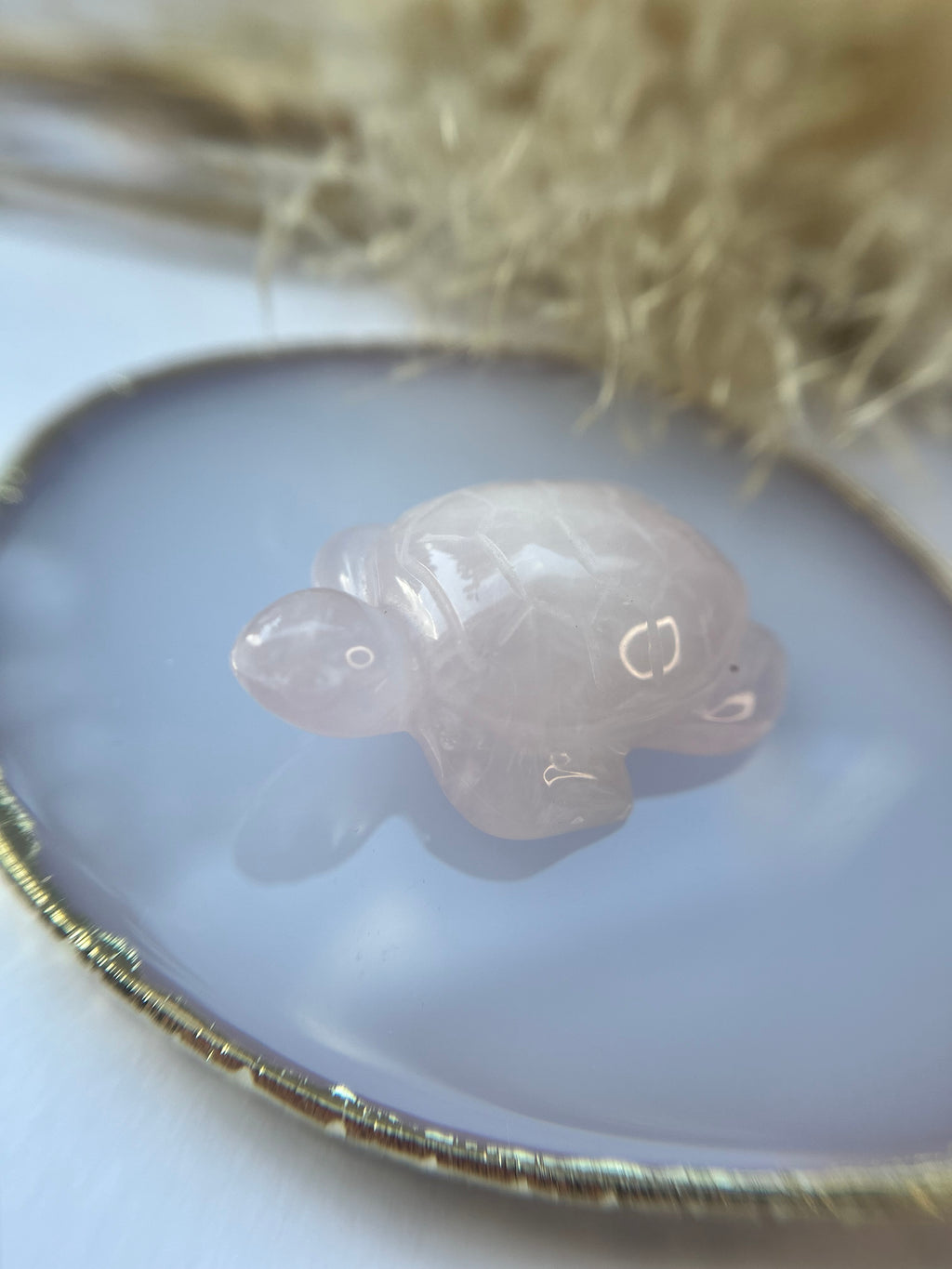 Rosenquarz Schildkröte
