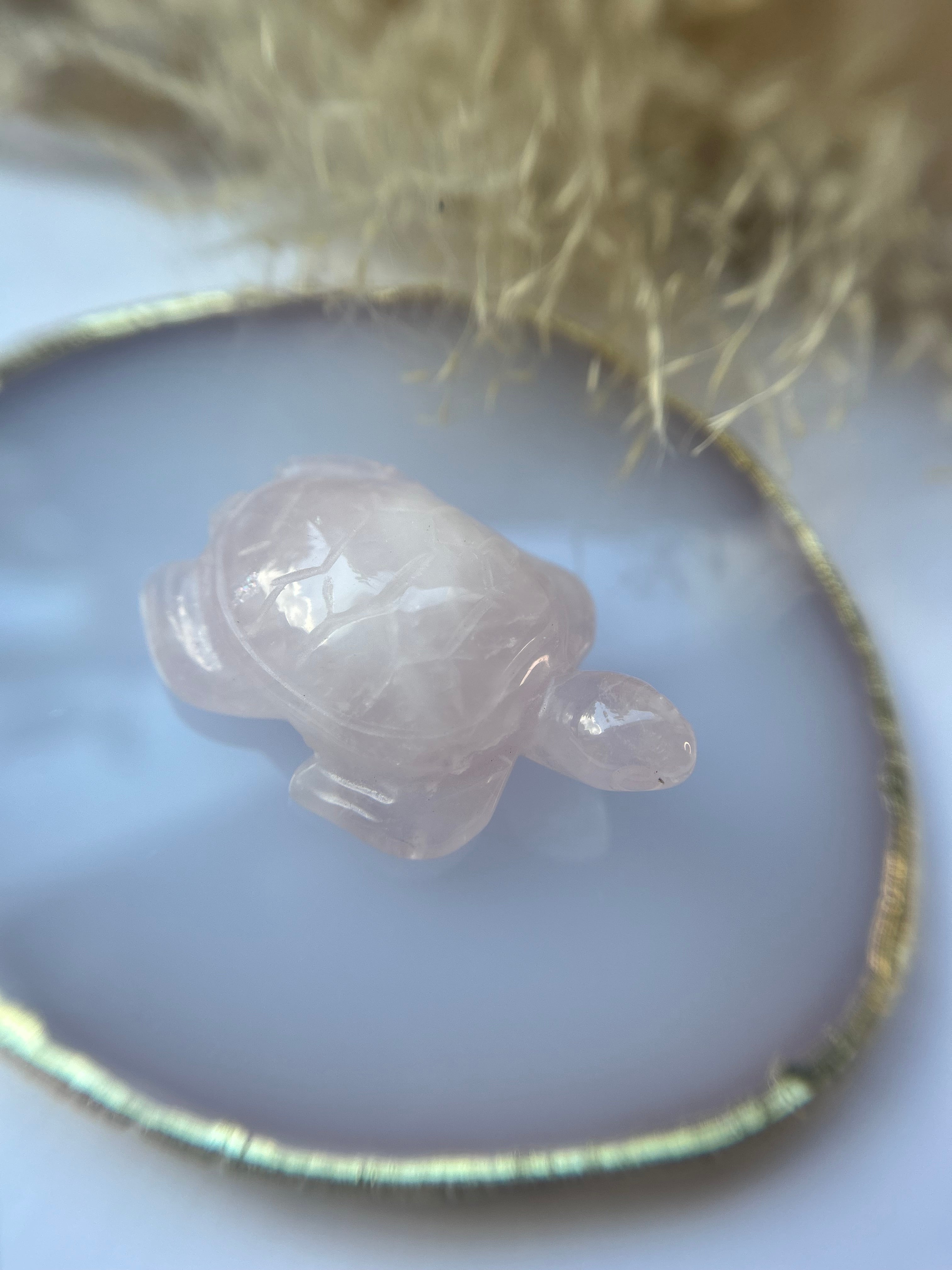 Rosenquarz Schildkröte