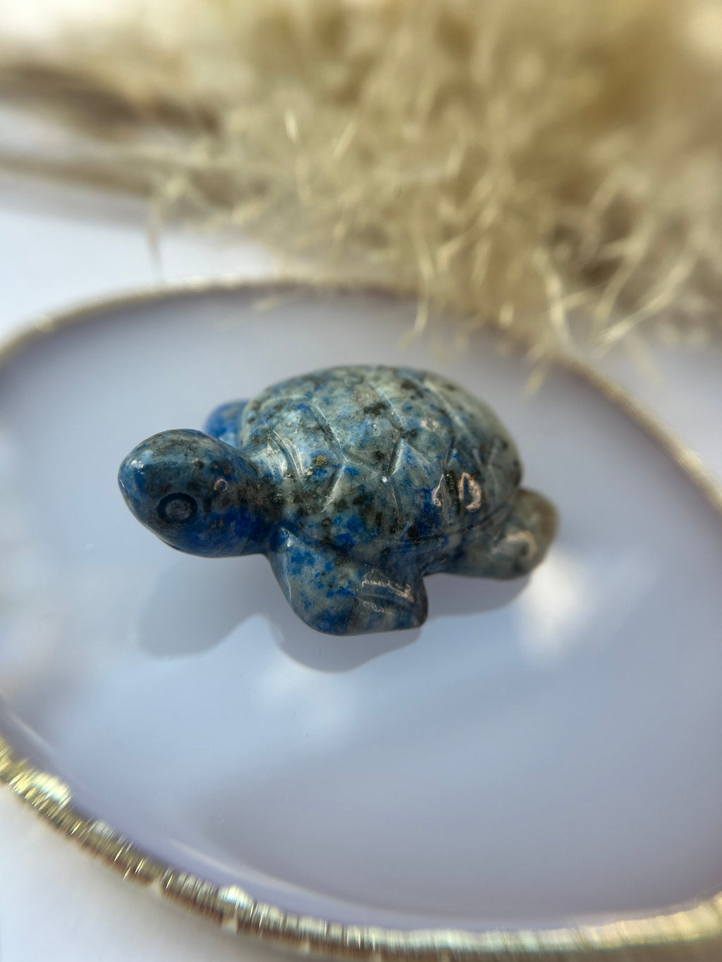 Lapislazuli Schildkröte