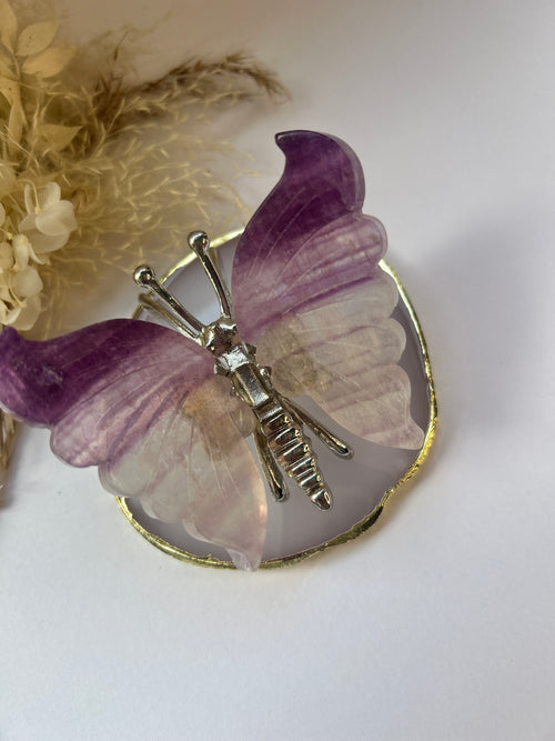 Amethyst Schmetterling