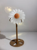 Selenit | Orangencalcit Blume