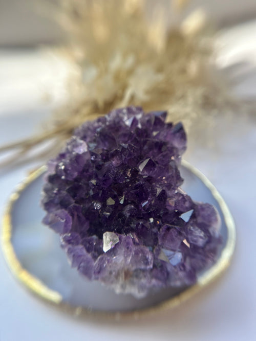 Amethyst Cluster
