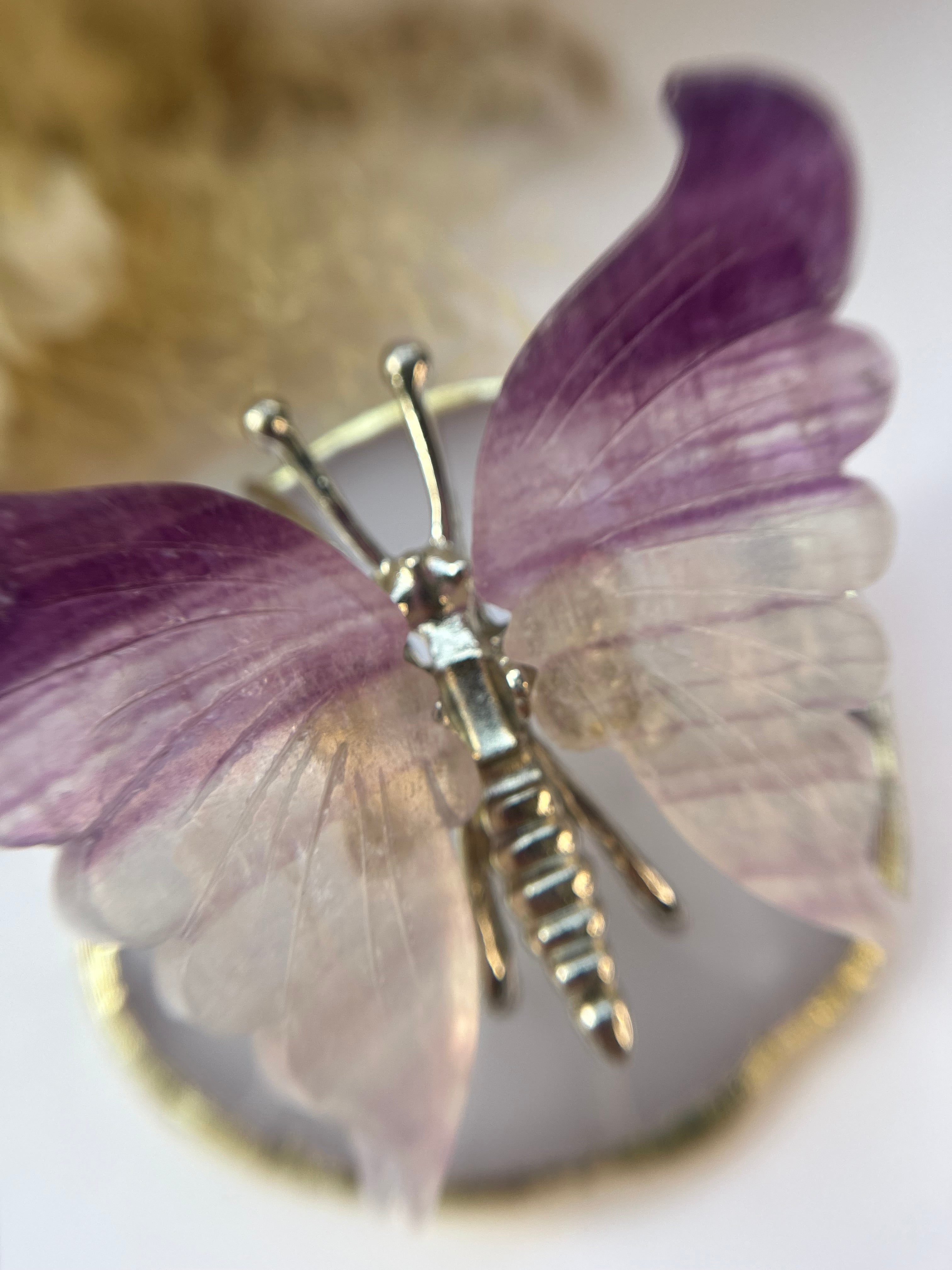 Amethyst Schmetterling