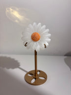 Selenit | Orangencalcit Blume