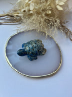 Lapislazuli Schildkröte