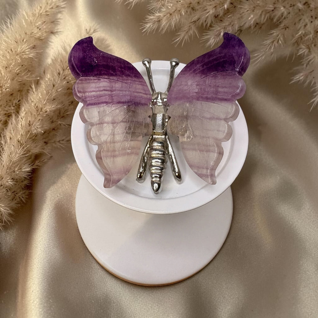 Amethyst Schmetterling
